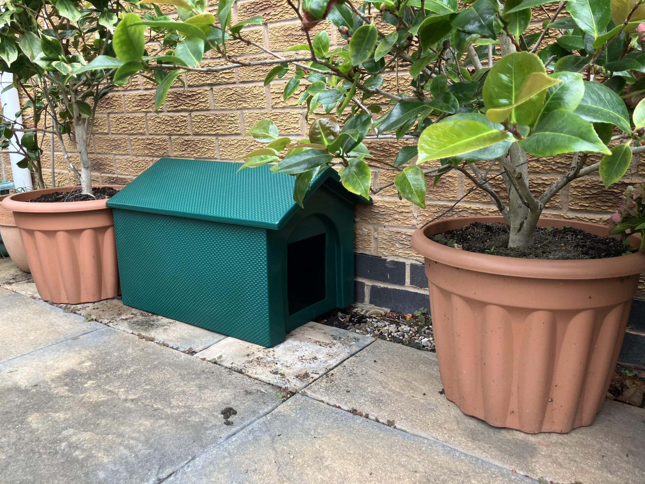 IMG 20251001 133525 5 Min Scaled