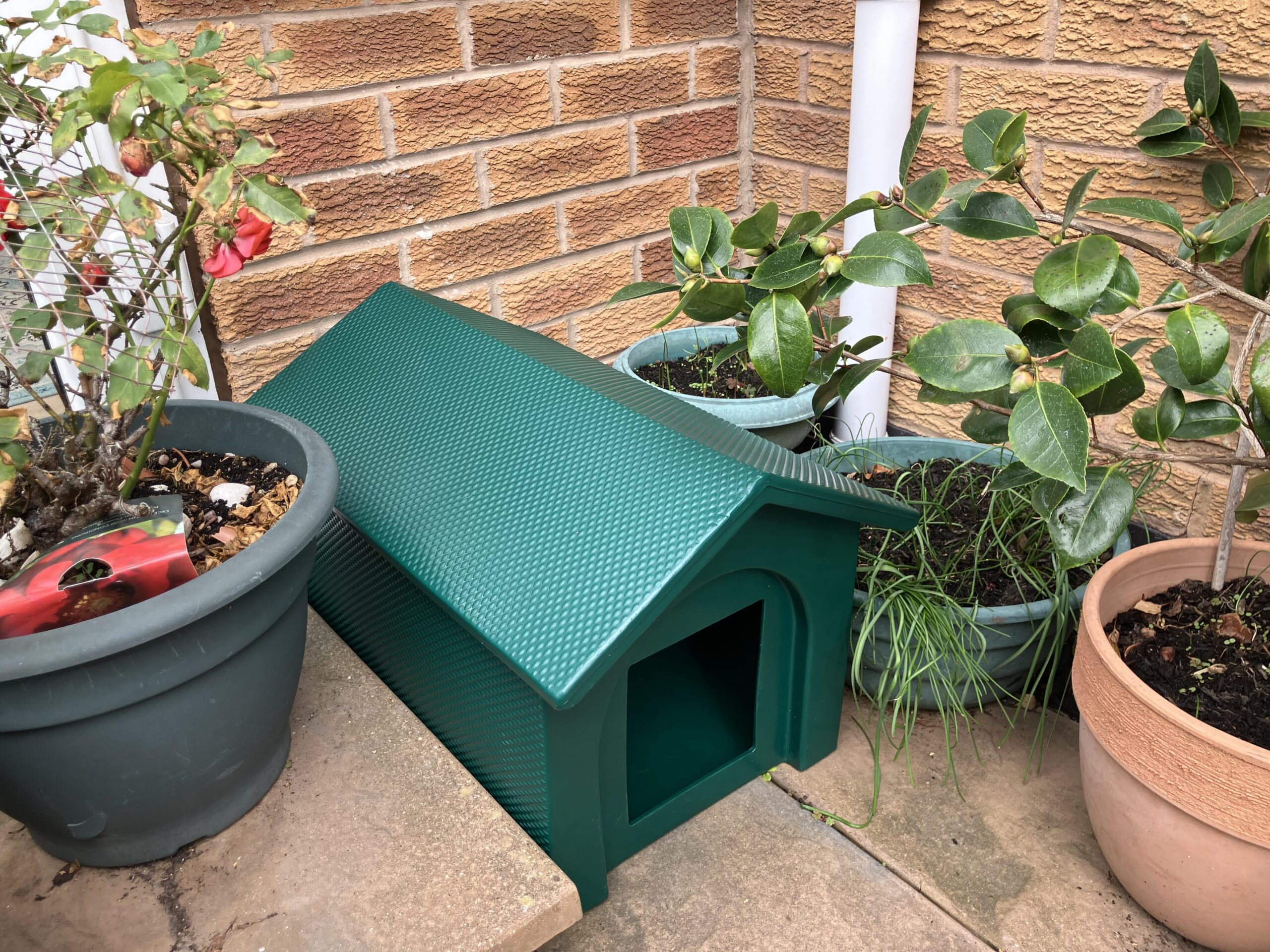 IMG 20251001 133525 6 Min Scaled