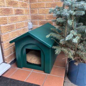 Kitty Kennel - 1