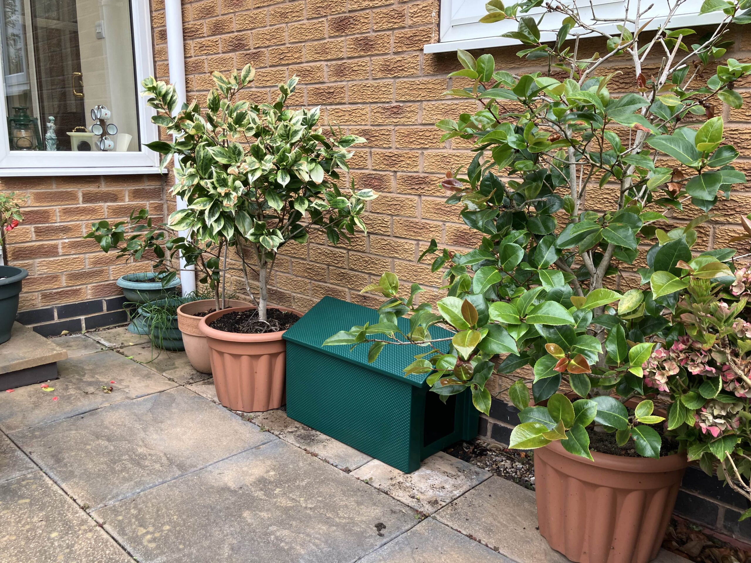 IMG 20251001 135300 Min Scaled